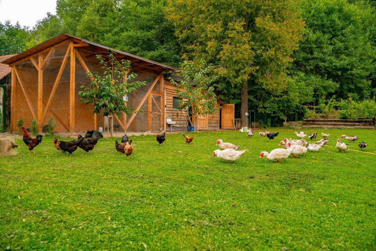Farma Zelená Ruža Vila Klacno Exterior foto
