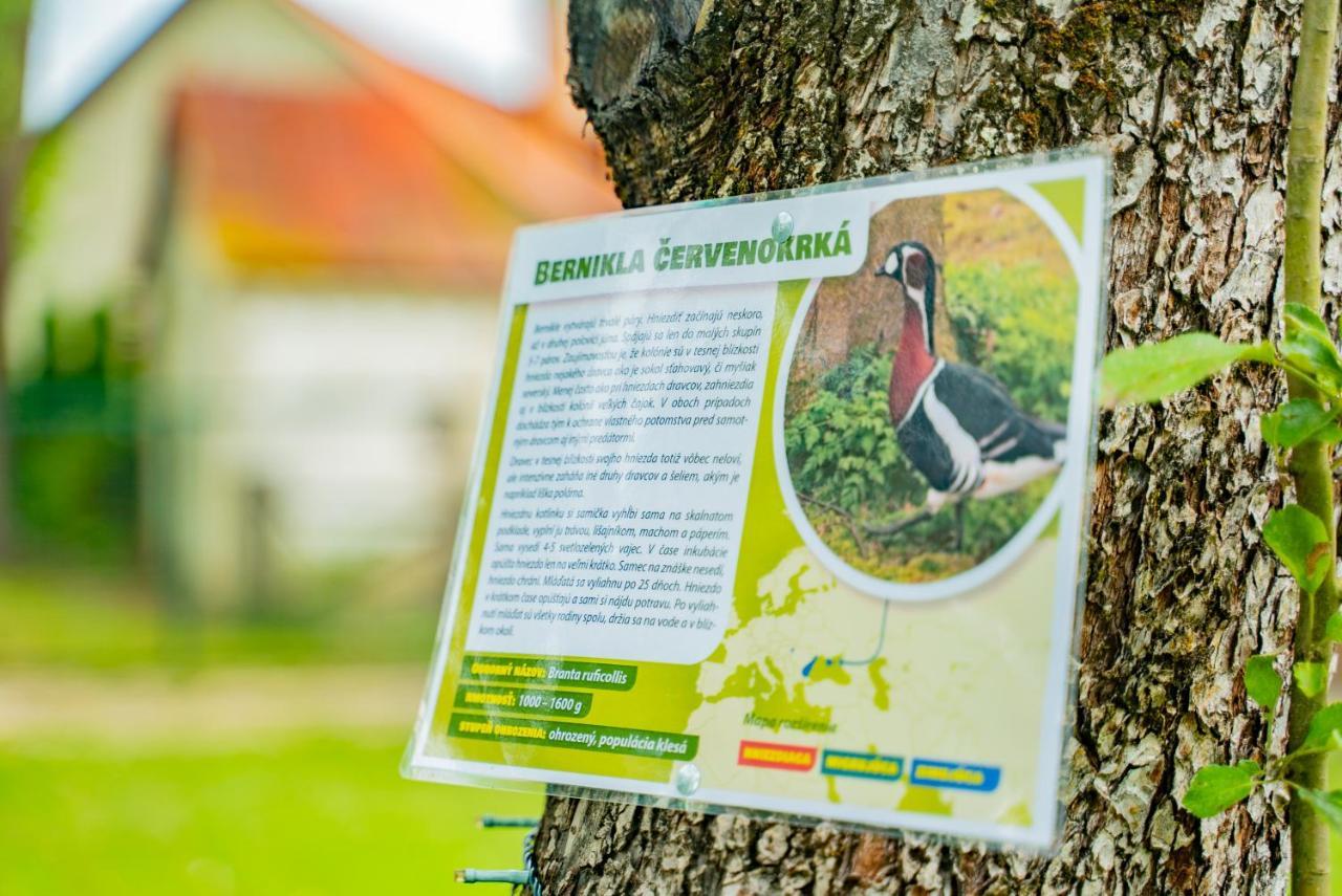 Farma Zelená Ruža Vila Klacno Exterior foto